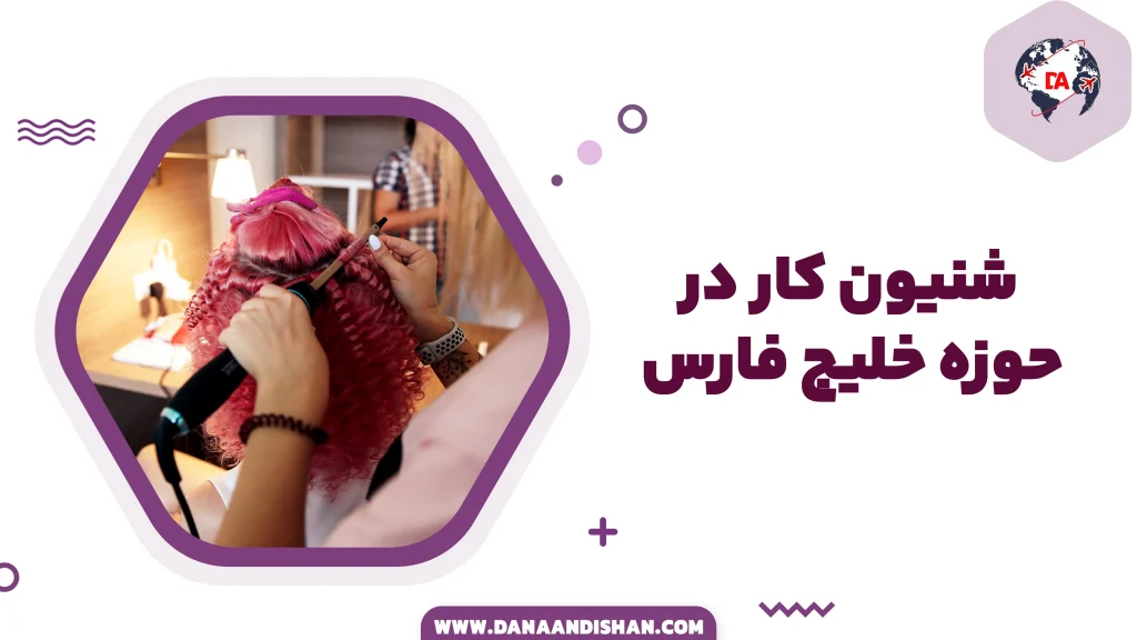 شنیون‌کار در کشورهای حوزه خلیج فارس